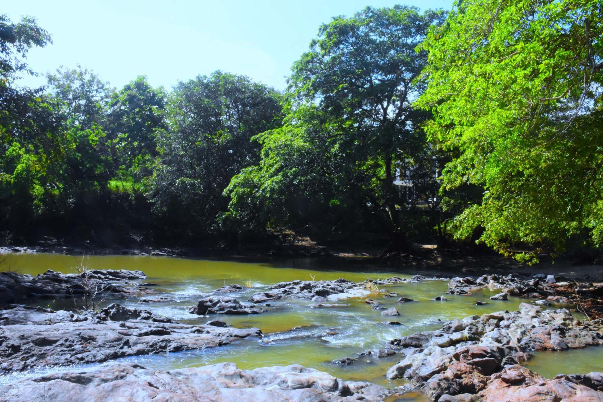 Sunwin River Cabana Uda Walawe Extérieur photo